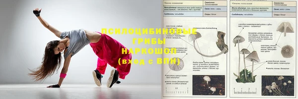mdma Няндома