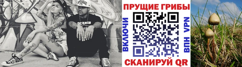 Купить  Ялуторовск  Галлюциногенные грибы мухоморы 